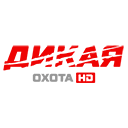 Дикая охота прямой эфир