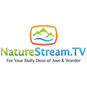 Телеканал NatureStream TV онлайн